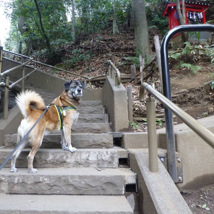 48690ac7 1c86 4cc1 bc60 ccdfe1becc04 1581387928689