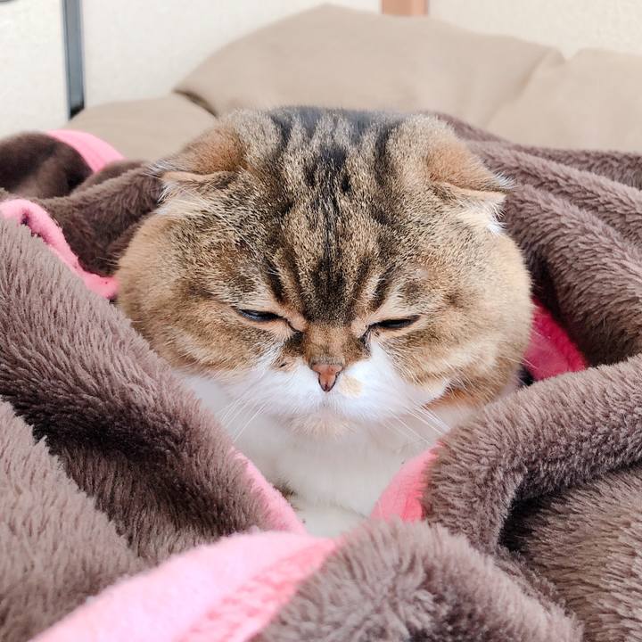 48691a10 f0b2 4058 b392 ec4c9cf7f7f7 1586220107237