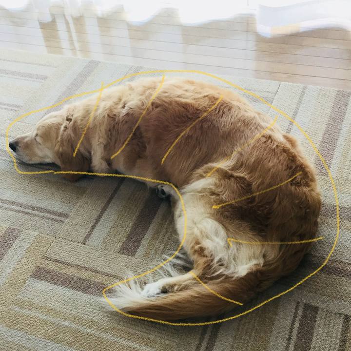 48697a11 b673 4dc0 aebc 2069bffe3365 1524788291822