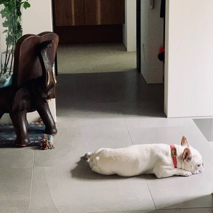 4869a4dd eb06 4fea 9efe aef5e8cd79cd 1591239889942