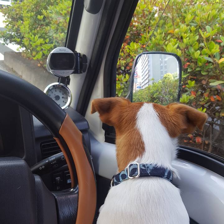 4869c83f 5f5a 4ce3 a9b5 2685d1228bc1 1558503948283