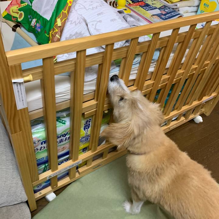 4869f16c 4caa 4616 8917 0fd22292b287 1572168617004