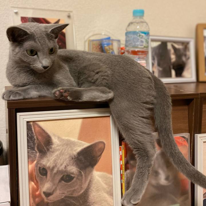 486a38e4 a22b 47db b9d4 04fdb6a8f7af 1693310636246