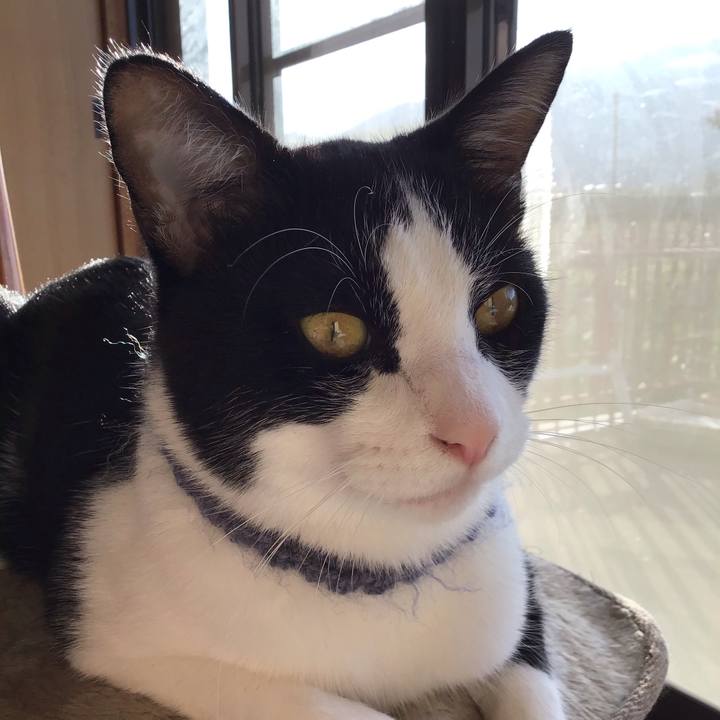 486a41c9 8a8e 43ed 898d 60369e870ab7 1667094122871