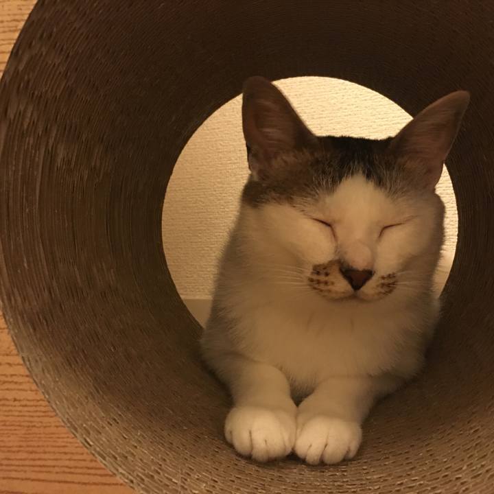 486a44a1 10a4 4858 babd 2e124e2fbec8 1531670889101