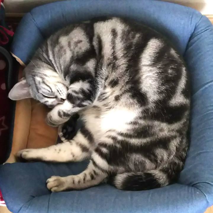 486a488a 5867 4cb7 88e6 000c999df817 1607254466830