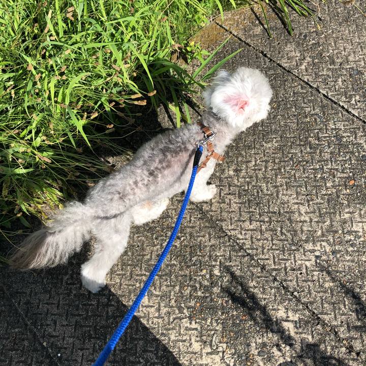 486a5b99 3e31 4853 a03e 7a4594496d39 1628641741808