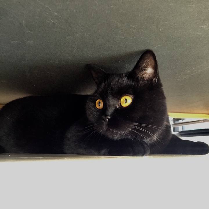 486a5be8 bcab 4d2e 8887 83bbdd49f799 1561243239882