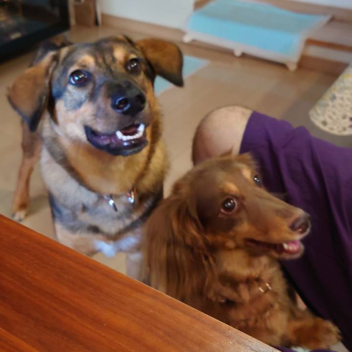 486a614a df7b 400f a424 3cc81c3cae38 1691728828587