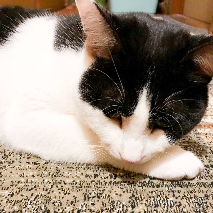 486ad4b0 cada 439d b7bd 4239d145cca3 1514385074282