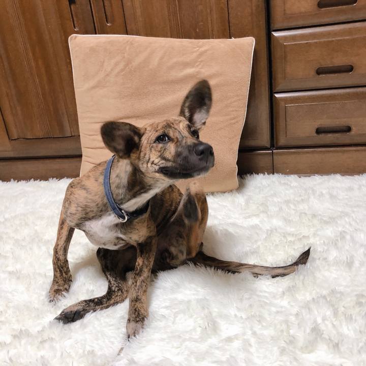 486af7f5 b5e9 42d7 a813 286cc2f5ecbe 1574256249052