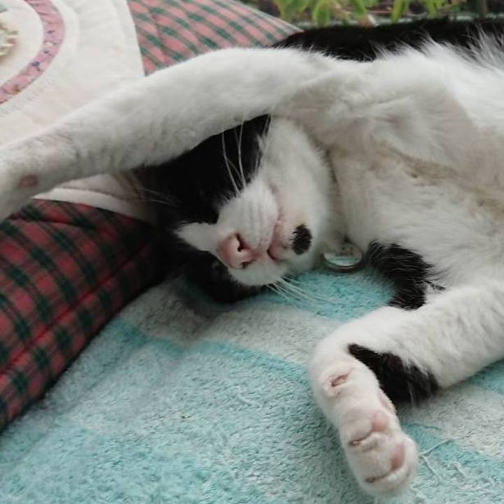 486afd78 77fa 4168 b173 659bc82e5ce7 1682123583292