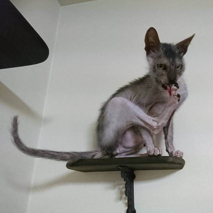 486b0bd1 ed3e 469e 9e43 58862c2ab904 1523443495501