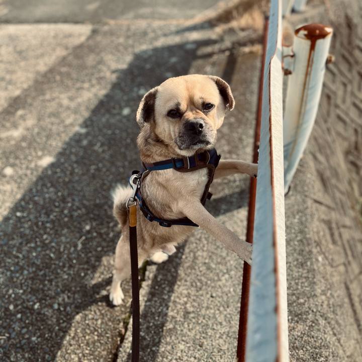 486b4ecd 0954 42fd af77 64f021ef15ff 1765682082768