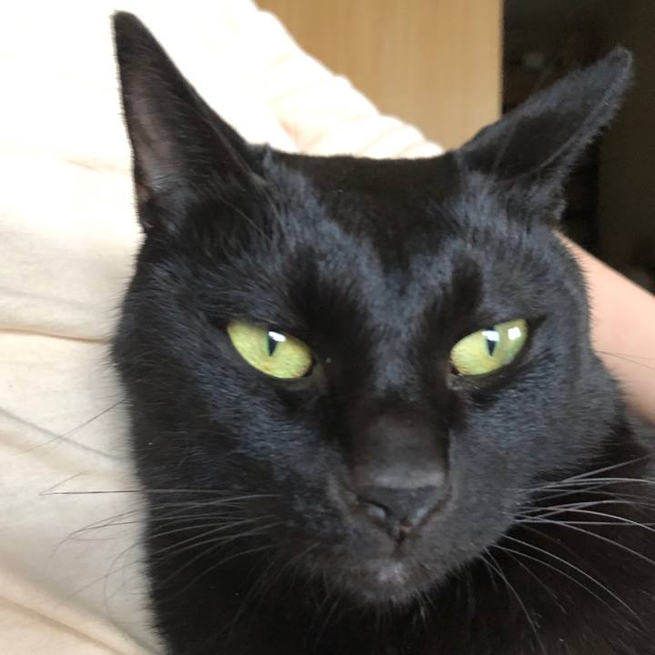 486b5e25 eccc 485c bb03 851b78cdc3d0 1697269194191