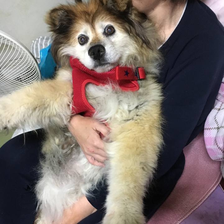 486ba2bf ad62 4dcb 87bb 41eb226bd904 1582005894101