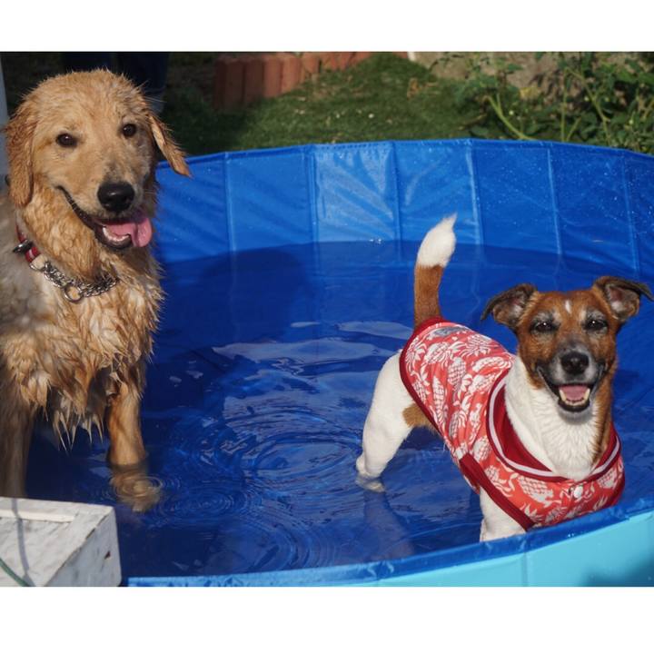 486bc8ef 3032 474a a24e d3d135a6b4a2 1597360102104