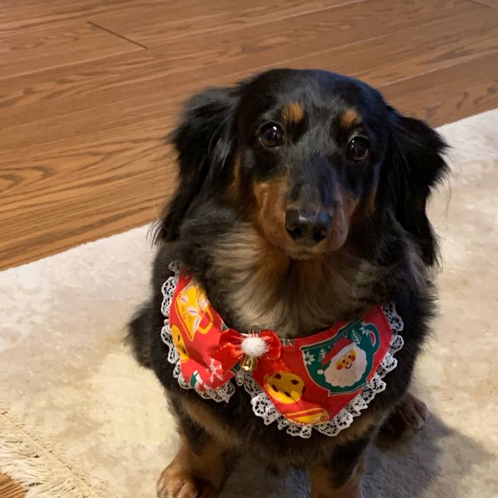 486c6615 4ed9 4a80 af33 a0c41b071686 1670722754892