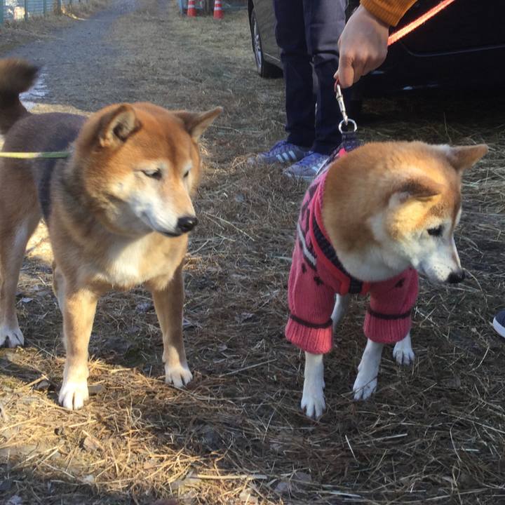 486c6b5b b14a 4c22 8c35 e4902f3b05d0 1609575315535