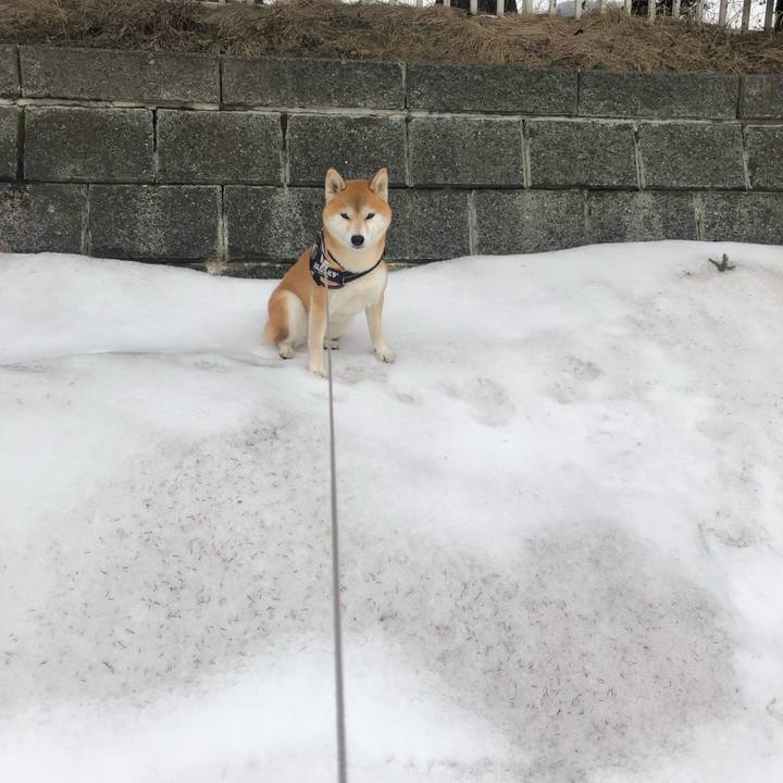 486c6f70 9d8b 47bf 8fa2 da2372e89854 1554428536393