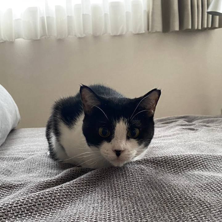 486c93ba 1100 4f7e b372 c230ebd87a8b 1719312898416