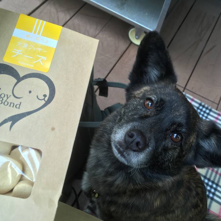 486cc83f 5843 4971 b76a 166e832a803a 1519371690140