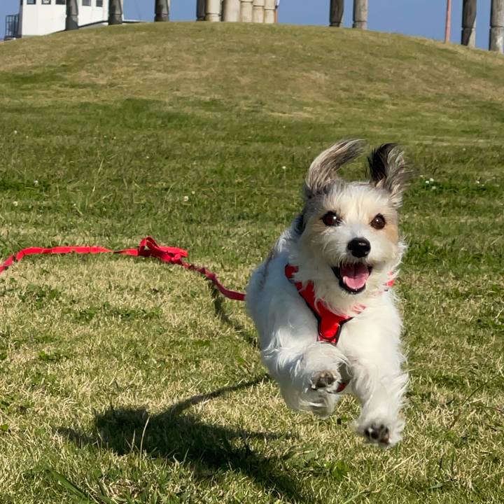 486ce72d da7a 4861 a2aa 5579c3831a96 1761806607398