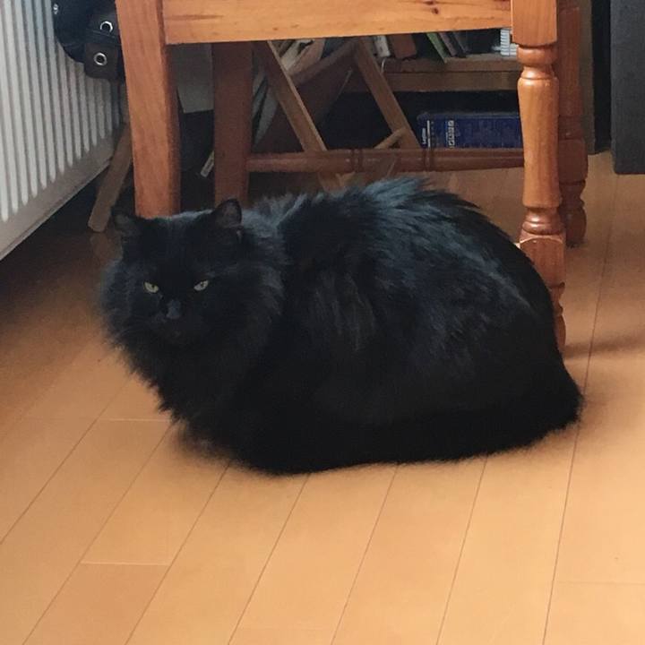 486d498e 50ba 4cb5 a146 392d6f92d591 1547171554188