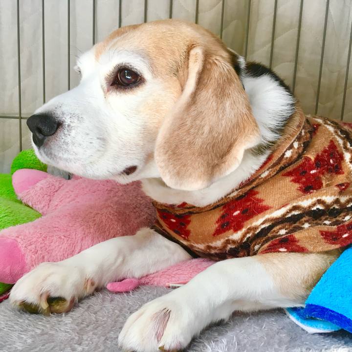 486d5543 df92 4ac7 b5ff bb1f8375ce08 1771332884785