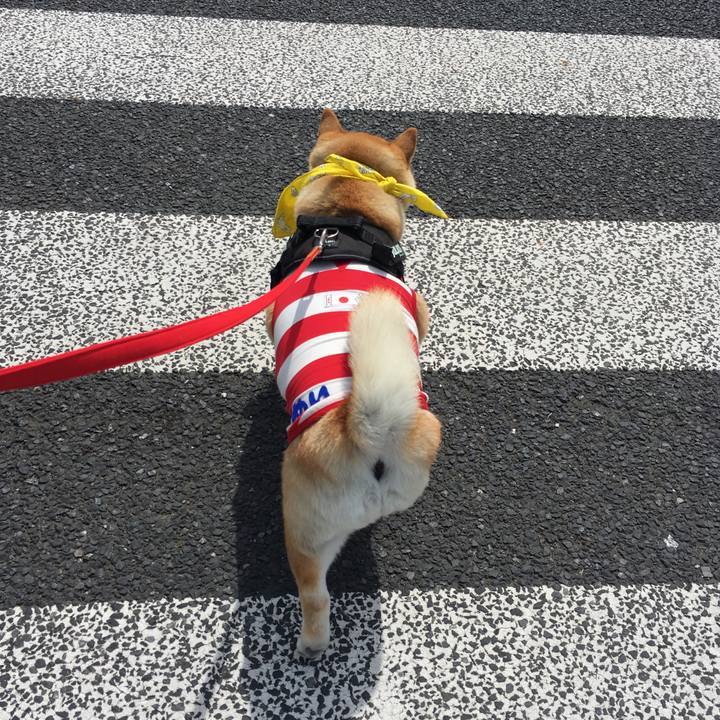 486d6b55 8074 4c97 9609 2c4e60fcdb0f 1556869463699