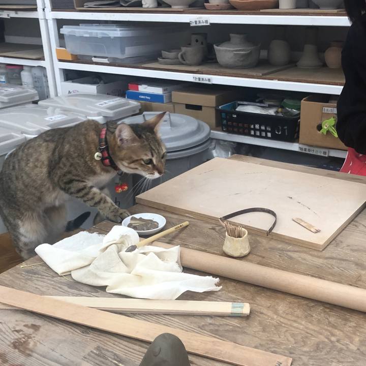 486d6cc7 a7f1 4812 a75d 49a4fa197dc9 1646633329150