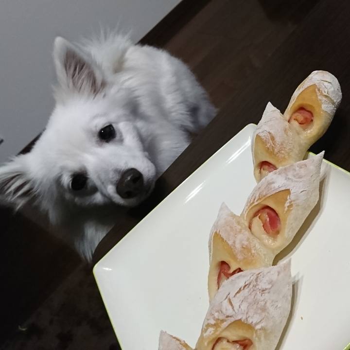 486d847a 13ba 4d01 be70 688d7324bf53 1524732921843