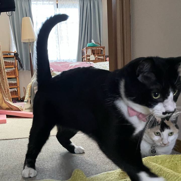 486dd6b3 c5ae 4ad4 ba75 6aaaab2630f7 1746322041079