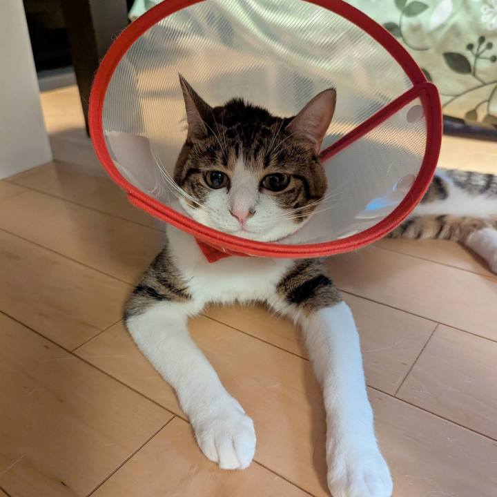 486df746 5166 439e a584 0044f5857e4a 1757834924864