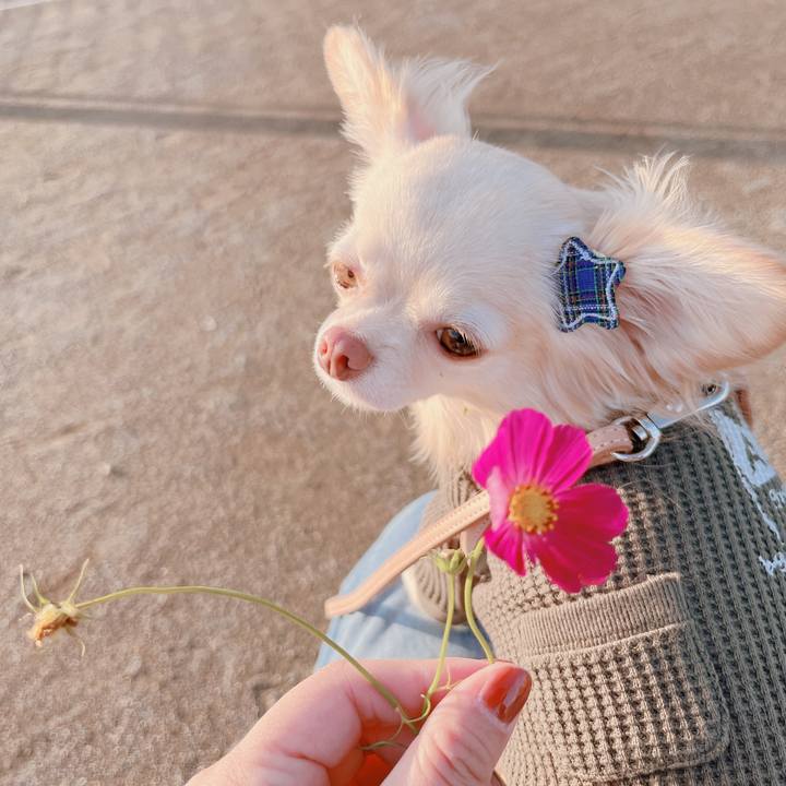 486dfb53 6e36 4da2 bf93 c5a4c05afd02 1666348391590