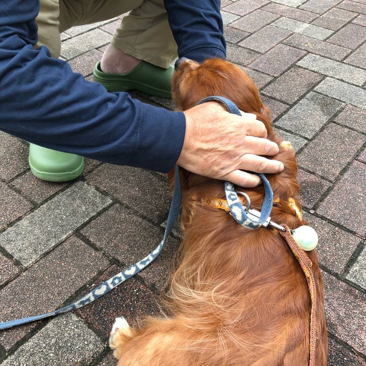 486e5e25 76c8 4a43 ab4b c28c824596ec 1602378003145