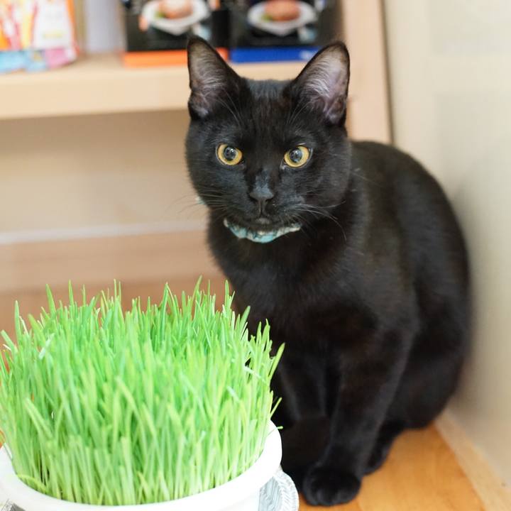 486eb21a 77ef 491f 90b9 e9a049b6f2a9 1513517395555