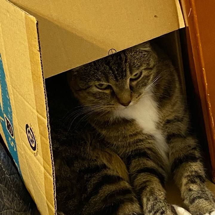 486ed3b8 53ea 451c 9e83 2aa85bf4bd0e 1618833905993