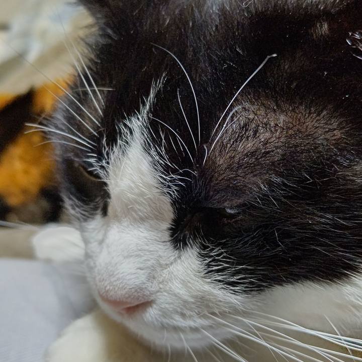 486ed9ee 9f8d 46d0 b797 4ae921313670 1628923348956