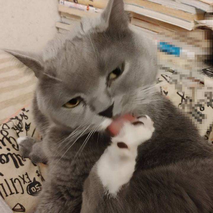 486ef4a7 5b46 441c 83ca 90c13e1cab5b 1619341790902