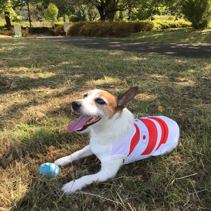 486f2c46 1a6e 4154 92cd 82326d4b0a3b 1570239962655