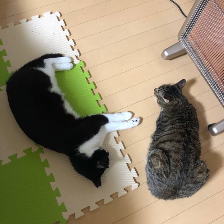 486f5160 7f23 45ca 903e 46a662c0b510 1550129887969