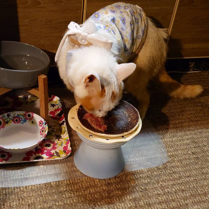 486f6e27 6bec 4c9f bf59 8263821932c6 1762770021872