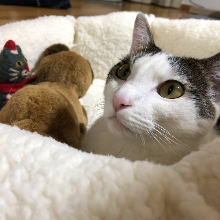 486f824a 42d8 4089 a8b8 ddee23cc4bc9 1608817394951