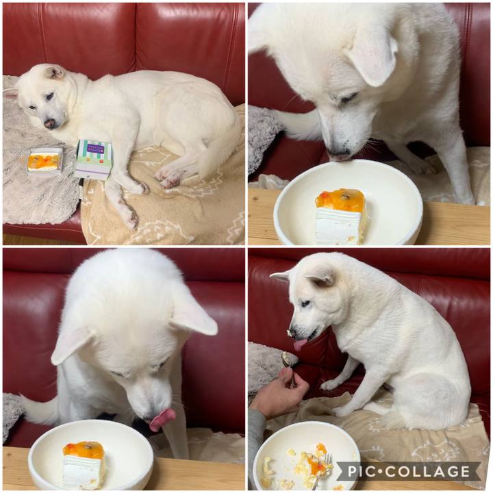 486f8dec 0aa5 4f9d 9d5f 5833eaf7e2cd 1544361373064