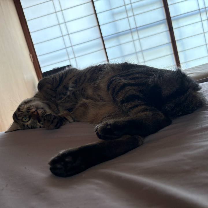 486f92b9 f2c1 4188 b813 398dbc035039 1760250542865