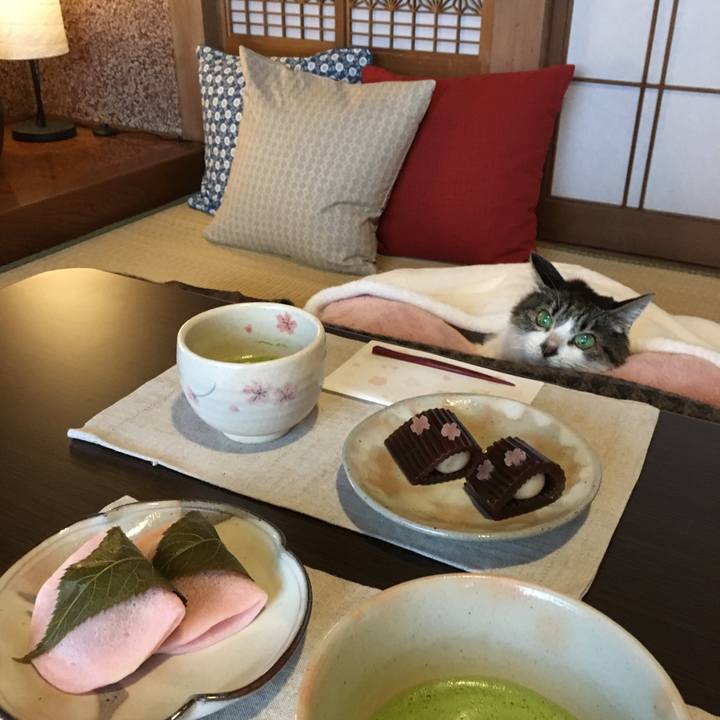 487033b1 674c 4931 9829 6aeeb582255c 1522562214115