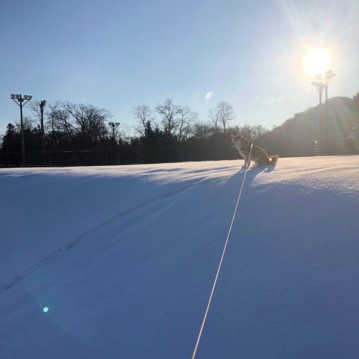 48704844 aa8e 4a7c b202 8d87127d1ed5 1582761511642