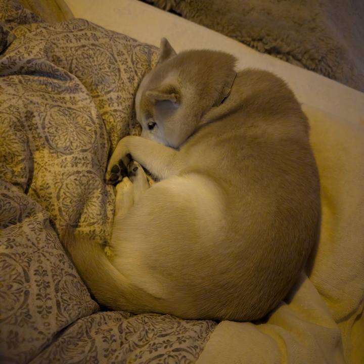 48704a28 eb82 406b 9930 12edc284c7a8 1768861530599