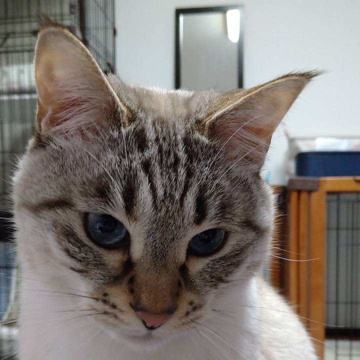 48705bfb ad6a 4f7b 9cef 47ba53999366 1613904502755